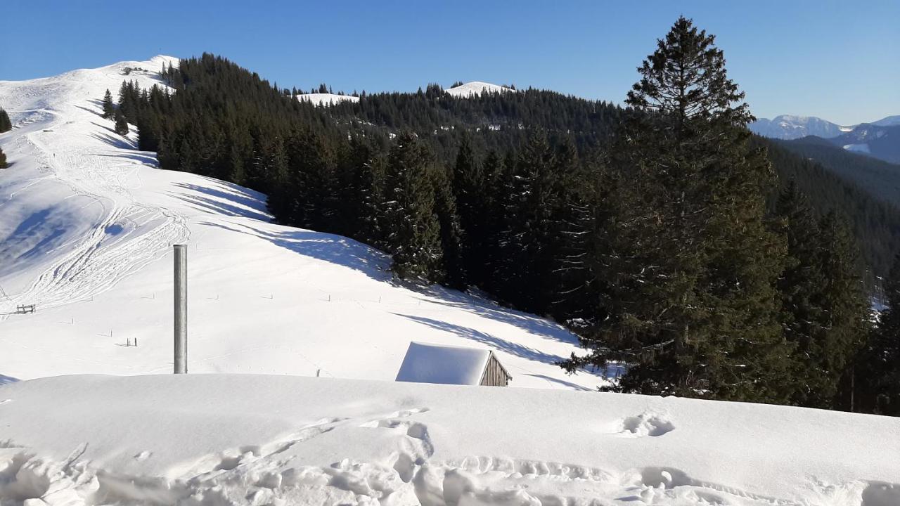 Kultur, Berge, Seen, Moor - Das Lebensglueck Murnau am Staffelsee Ngoại thất bức ảnh